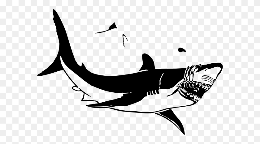 Hammerhead Shark Clip Art Black And White
