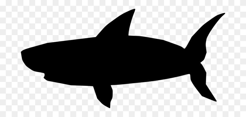 698x340 Акула-Молот Большая Белая Акула Хрящевые Рыбы Песчаный Тигр - Песок Клипарт Черный И Белый