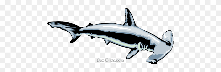 480x214 Tiburón Martillo Realeza Vector Libre Clipart Ilustración - Tiburón Clipart Png