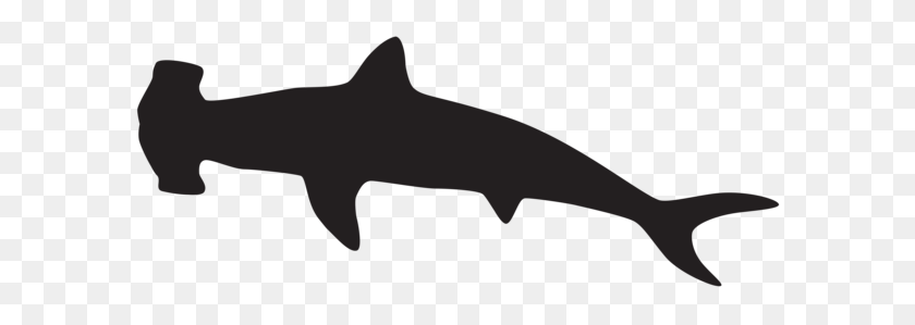 600x239 Hammerhead Shark Silhouette Png Clip Art Gallery - Shark Clipart PNG