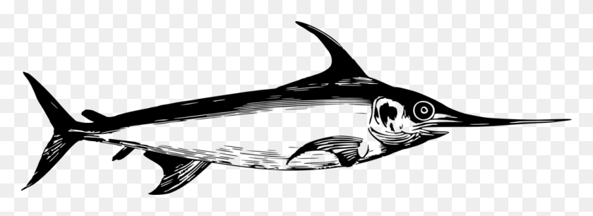 1077x340 Hammerhead Shark Vertebrate Scalloped Hammerhead Tiger Shark Great - Sturgeon Clipart