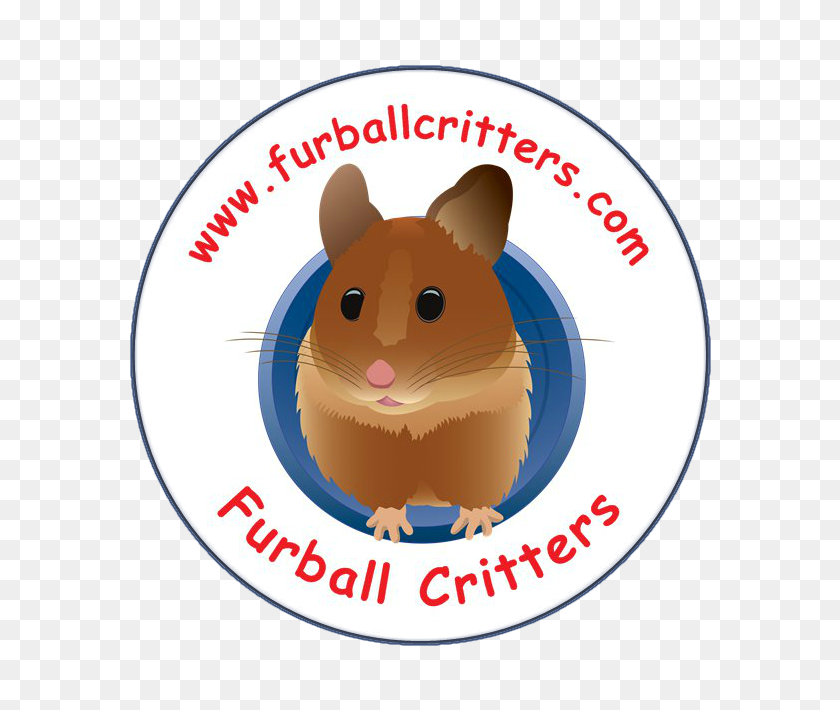 650x650 Hamster Clipart Furry Animal - Furry Clipart