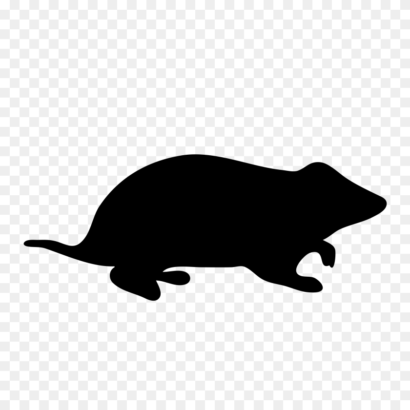 2400x2400 Hamster Contour Icons Png - Hamster PNG
