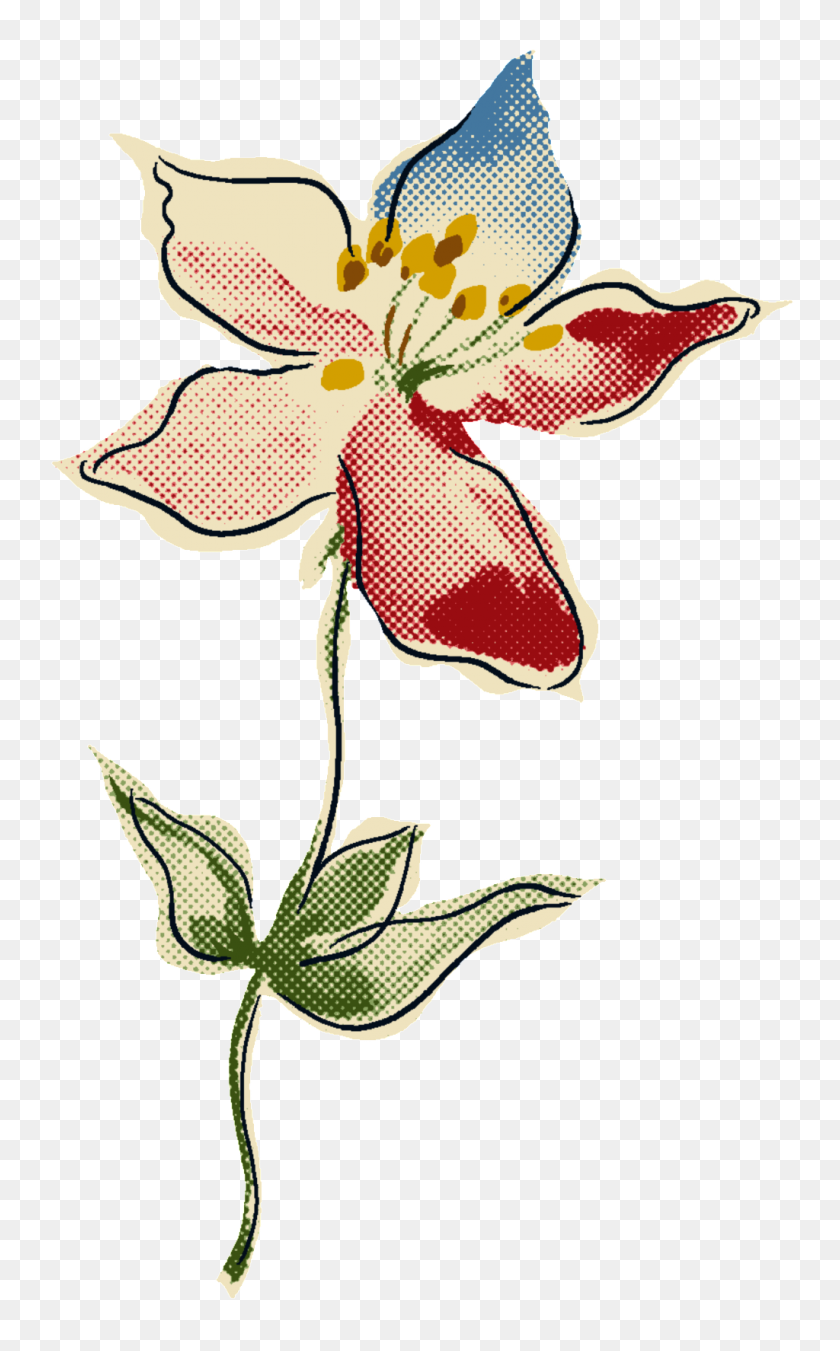 1024x1696 Hand Drawn Doodle Flowers Decorative Elements Free Png Download - Flower Doodle PNG