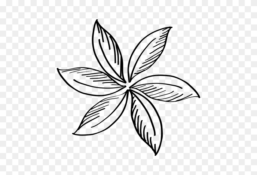 512x512 Hand Drawn Flower - Black And White Flower PNG