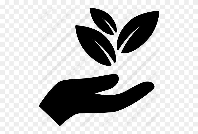 512x512 Hand Holding Leaves - Hand Holding PNG