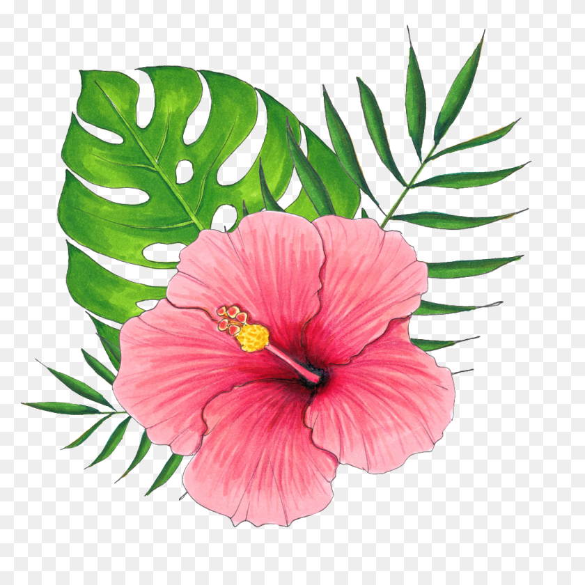 1024x1024 Hand Painted A Hibiscus Flower Png Transparent Free Png Download - Hibiscus Flower PNG