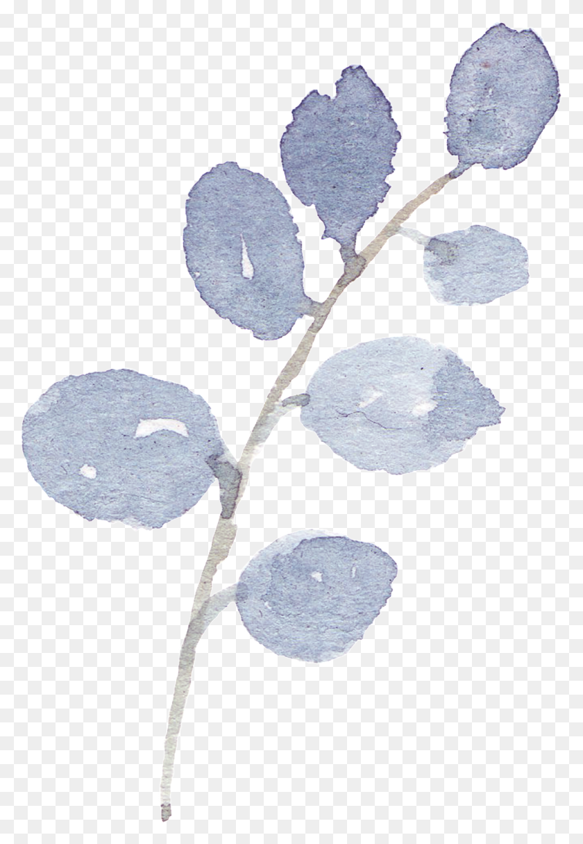 1024x1517 Ручная Роспись Фиолетовая Ветвь Акварель Прозрачный Png - Акварельное Дерево Png