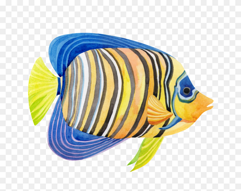 1024x796 Hand Painted A Striped Fish Png Transparent Free Png Download - Paint Stripe PNG