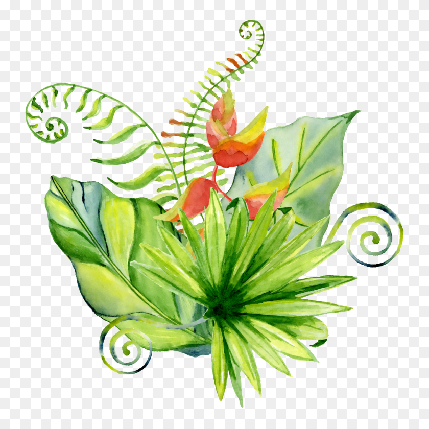 1024x1024 Hand Painted A Variety Of Different Leaves Png Transparent Free - Watercolor Leaves PNG