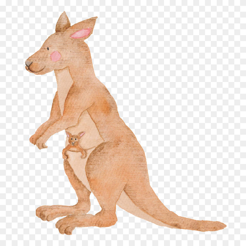 1024x1024 Hand Painted Kangaroo Transparent Animal Png Free Png Download - Kangaroo PNG