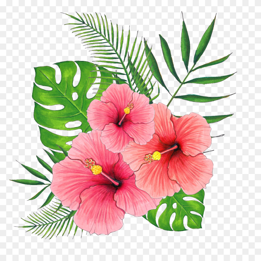 1024x1024 Hand Painted Summer Hibiscus Flower Png Transparent Free Png - Hibiscus Flower PNG