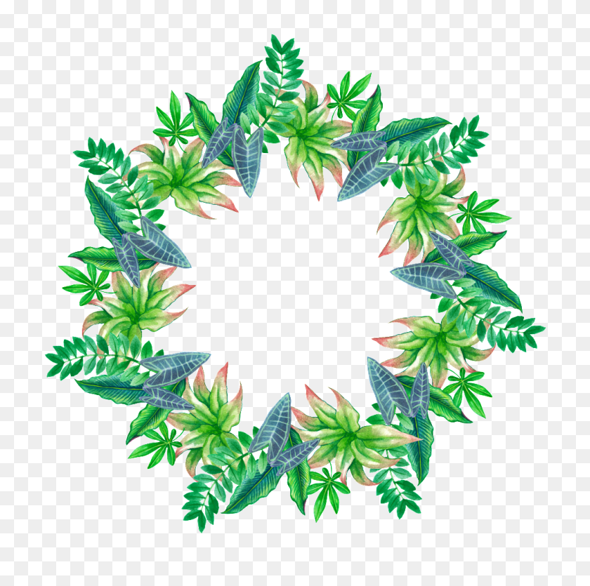 1024x1018 Рисованной Тропические Листья Звезды Кольцо Png Прозрачный Png - Дымовое Кольцо Png