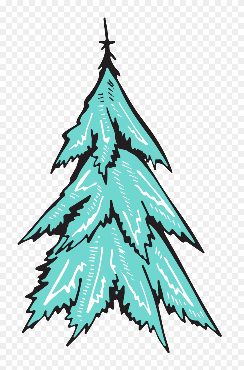 1024x1593 Hand Painted Watercolor Christmas Tree Spruce Tree Png Images - Winter Tree PNG