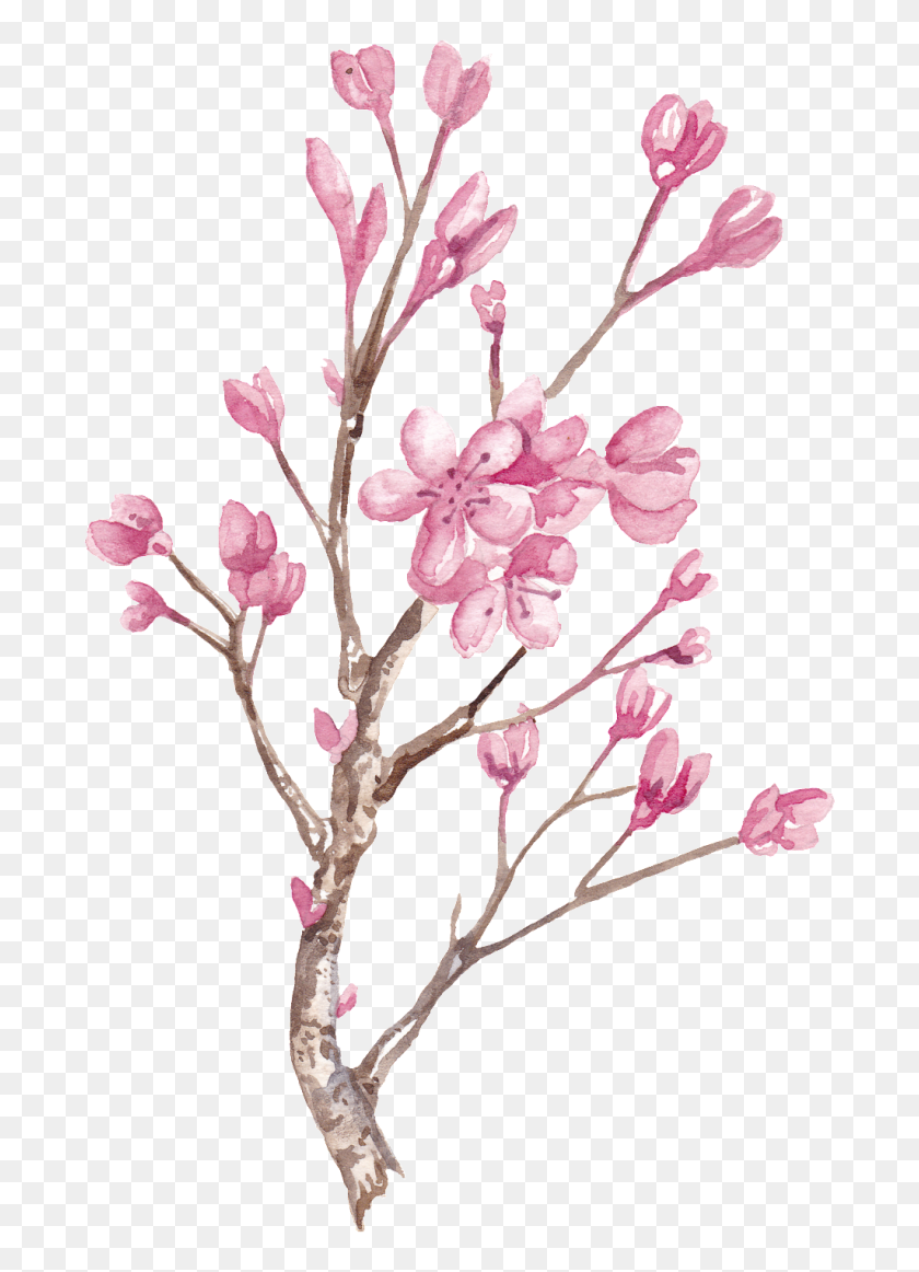 1024x1448 Hand Painted Winter Plum Blossom Branch Png Transparent Free Png - Blossom PNG