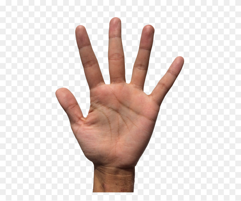 500x641 Hand Png Transparent Image - Hand PNG