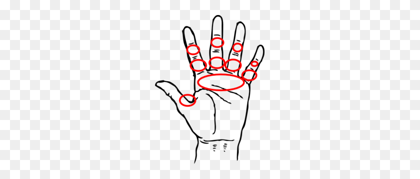 219x298 Hand Showing Typical Bister Points From Rowing Clip Art - Rowing Clipart