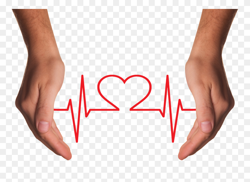 1600x1131 Hands Holding Red Heart With Ecg Line Png Image - Line PNG