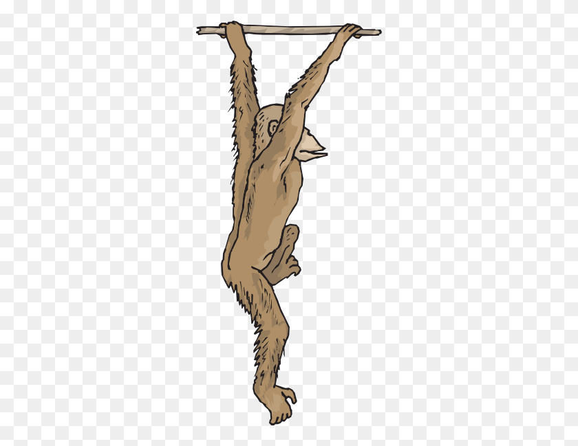 270x589 Hanging Chimp Clip Art - Chimp Clipart