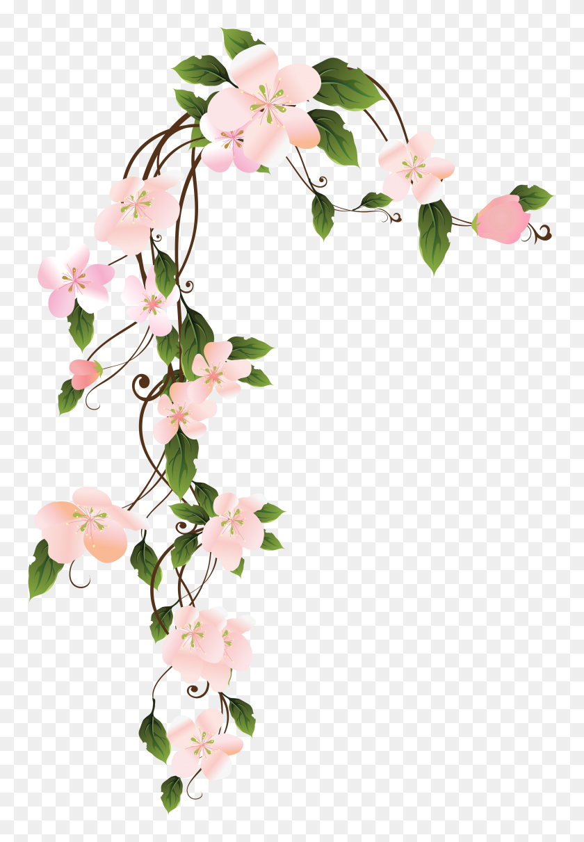 4742x7000 Hanging Floraw Decoration Png Clip Art Gallery - Hanging Plant PNG