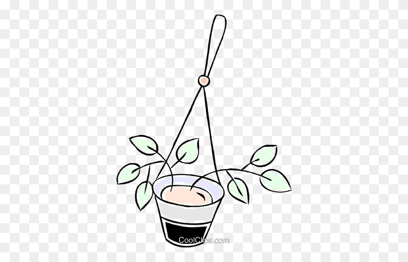 362x480 Hanging Plant Royalty Free Vector Clip Art Illustration - Hanging Plant PNG