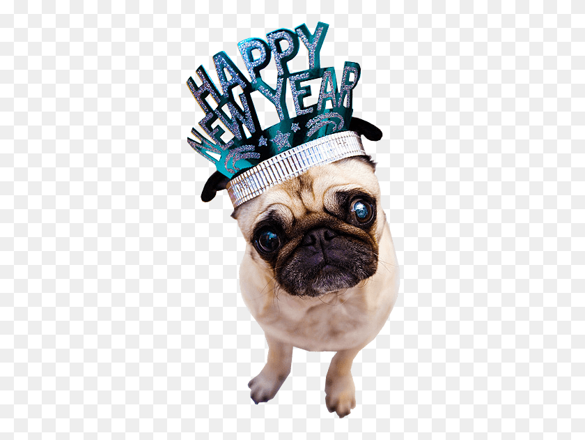 310x571 Happy New Year Dog Transparent Png - Dog PNG
