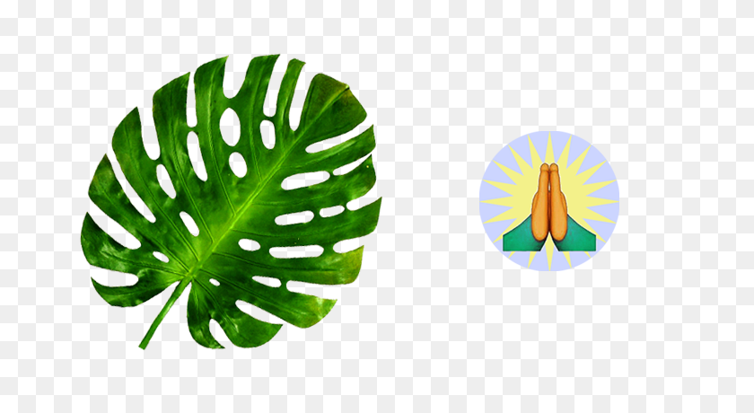 672x400 Hardly Un American - Monstera Leaf Clipart
