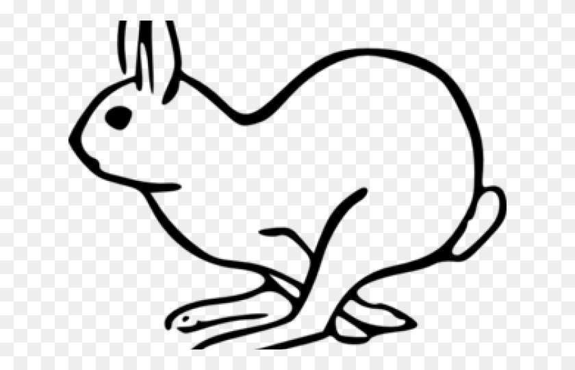 640x480 Liebre Clipart Fluffy Bunny - Gráfico Ocular De Imágenes Prediseñadas