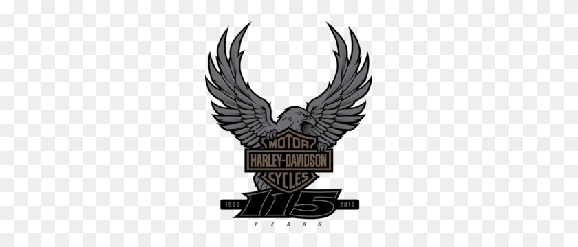 243x300 Harley's The X - Harley Davidson Clip Art