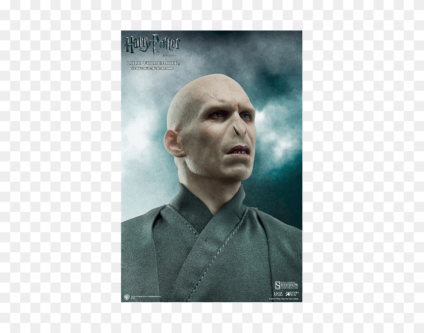 600x600 Harry Potter - Voldemort PNG