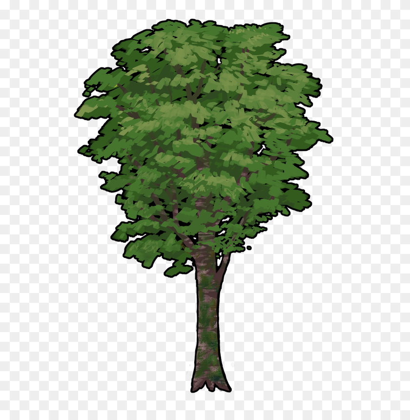618x800 Harukaze Development - Tree From Above PNG