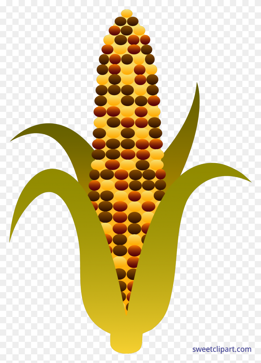 3751x5330 Harvest Indian Corn Clip Art - Pollen Clipart