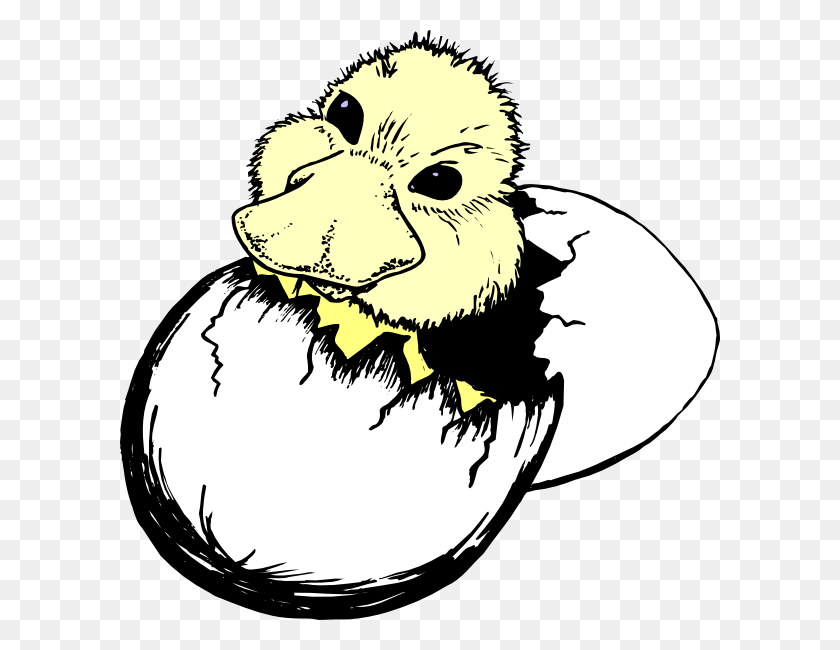 600x590 Hatch Cliparts - Chick Hatching Clipart