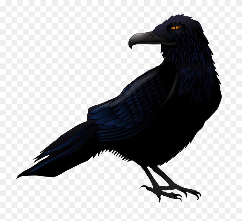 5061x4586 Haunted Raven Png Vector - Raven PNG