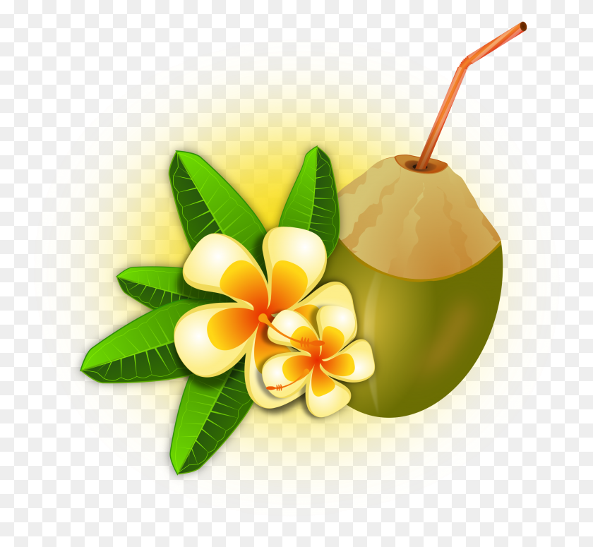 2267x2080 Hawaii Clipart Coconut Cocktail - Hawaii PNG