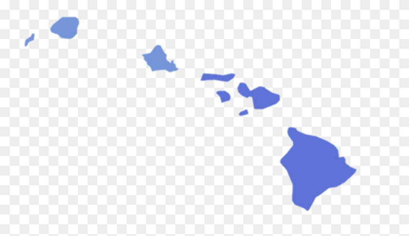 1333x725 Resultados De Las Elecciones De Gobernador De Hawaii - Hawaii Png