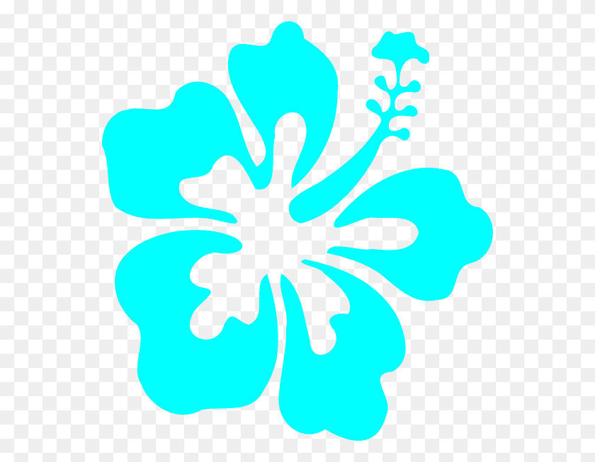 552x593 Hawaiian Flower Blue Hibiscus Cliparts Free Download Clip Art - Hawaiian Flowers PNG