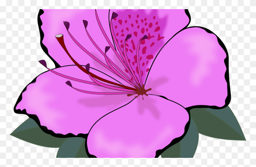 1368x855 Гавайский Цветок Границы Картинки Садовый Цветок И Овощи - Плюмерия Клипарт