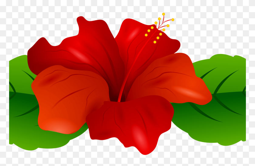 1368x855 Hawaiian Flower Border Clip Art Gardening Flower And Vegetables - Hawaiian Border Clipart
