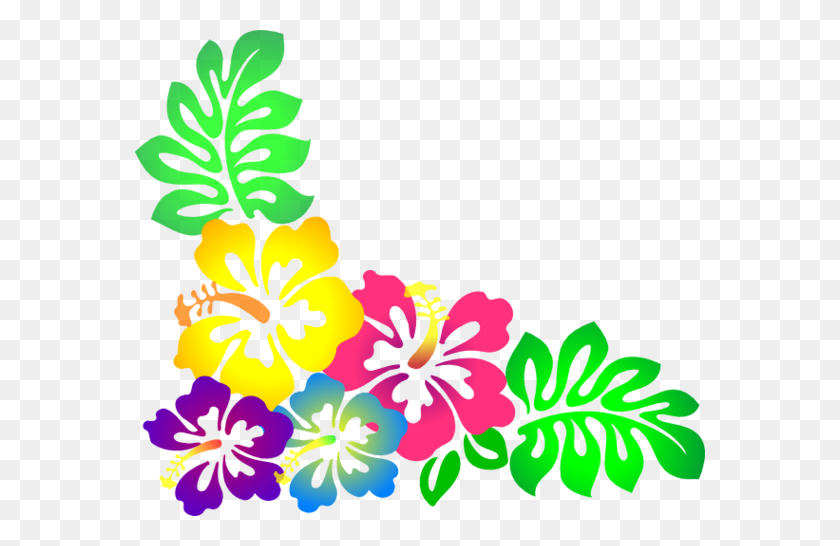 570x486 Imágenes Prediseñadas De La Frontera De La Flor Hawaiana - Frontera Floral Png