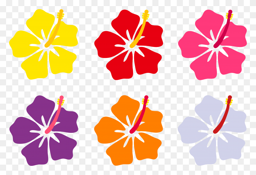 8230x5425 Hawaiian Flower Clip Art Hibiscus Flowers In Six Colors - Six Clipart