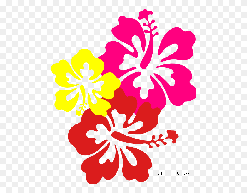 495x599 Hawaiian Flower Clip Art Three Flowers - Teacher Teaching Students Clipart