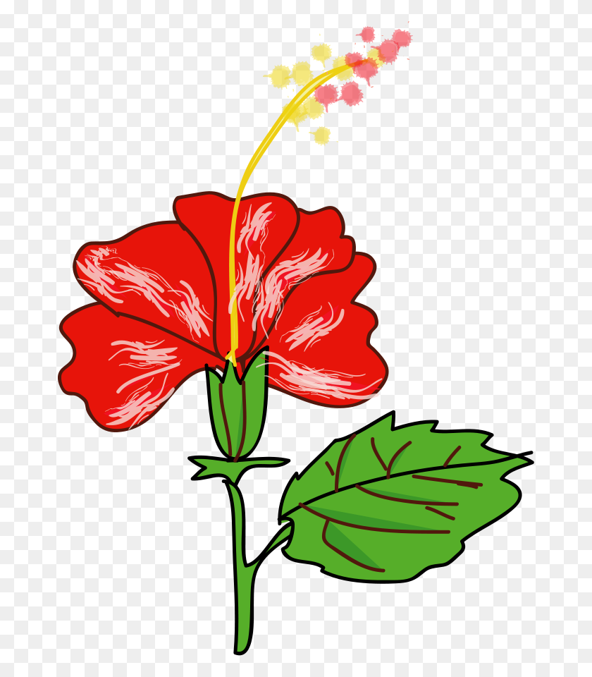 676x900 Hawaiian Flower Clipart - Hawaiian Flower PNG
