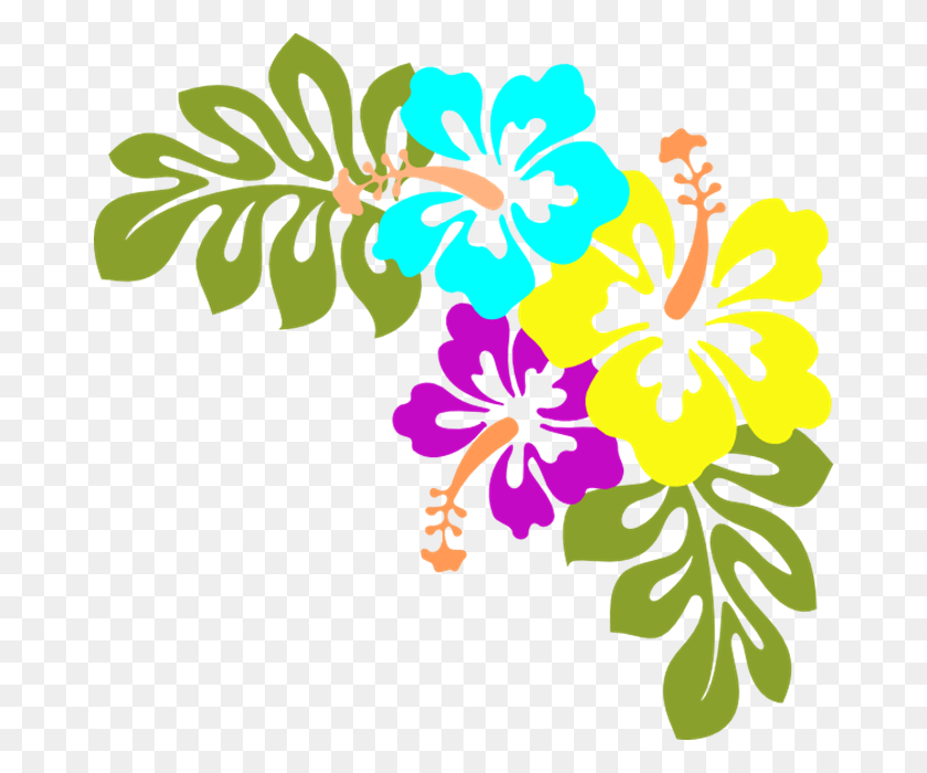 670x640 Hawaiian Flowers Clip Art Free Many Flowers - Peony Flower Clipart