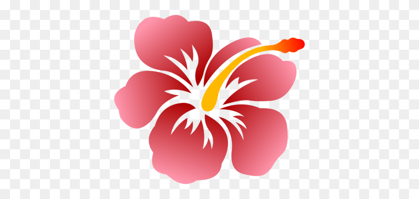 382x340 Гавайский Цветок Гибискуса Shoeblackplant Черный И Белый Бесплатно - Клипарт Гибискуса