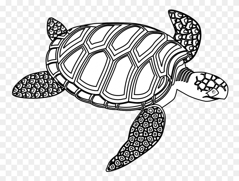 999x740 Hawaiian Turtle Clip Art - Salt Clipart Black And White