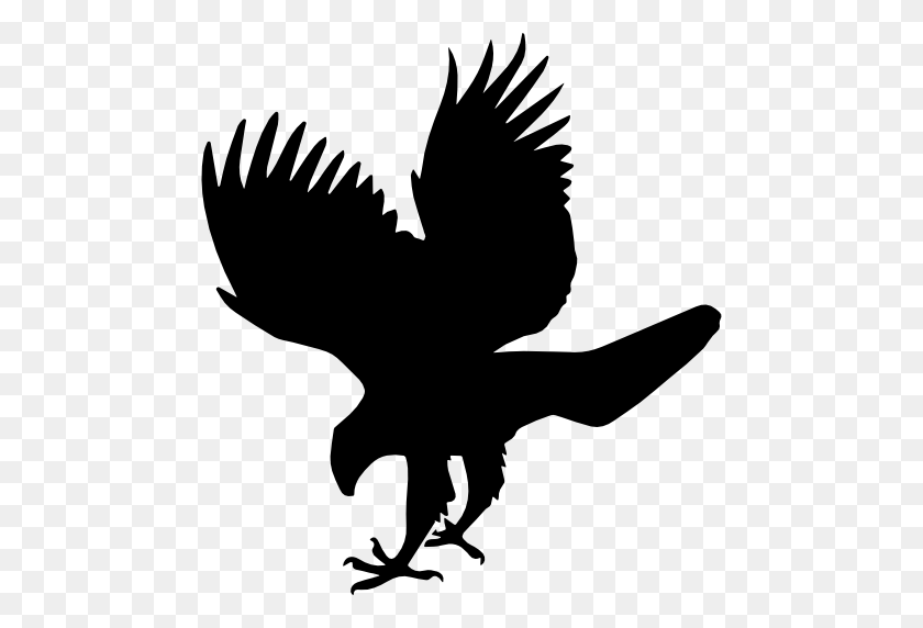 512x512 Hawk Bird Animal Shape - Hawk Logo PNG