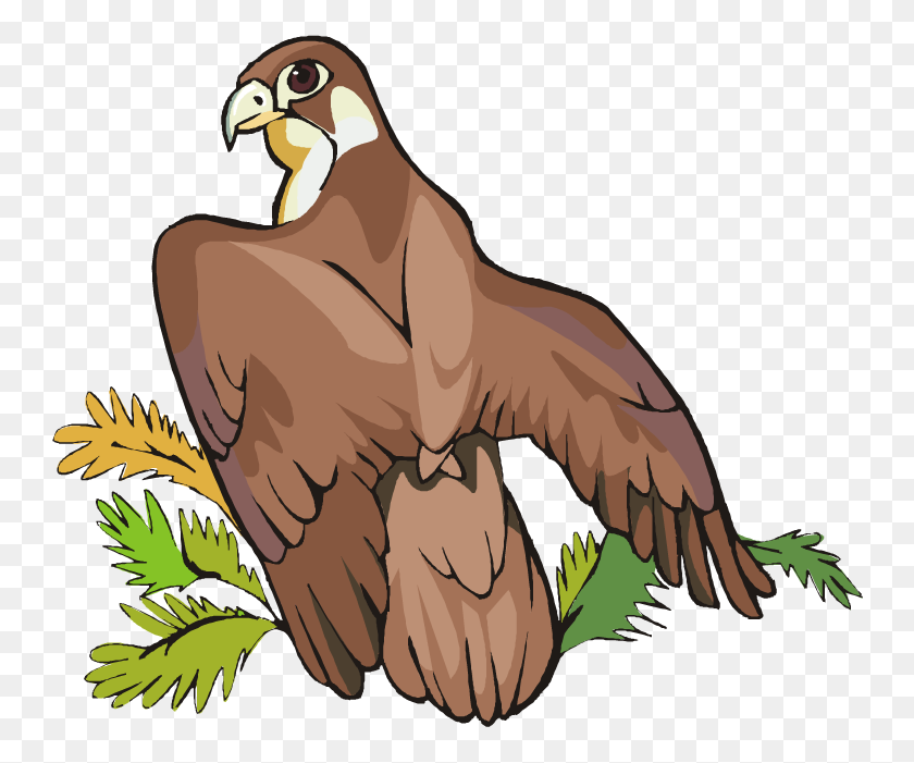 750x641 Hawk Clip Art Clipart Wikiclipart Intended For Hawk Clipart - Golden Eagle Clipart