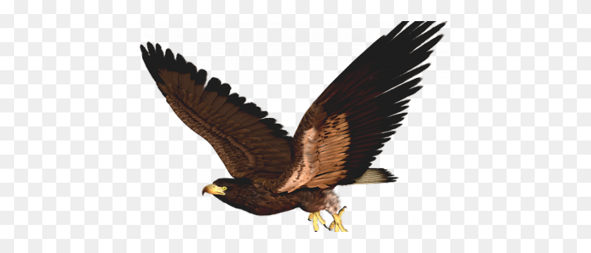 450x300 Hawk Clipart Clip Art Images - Tribal Eagle Clipart