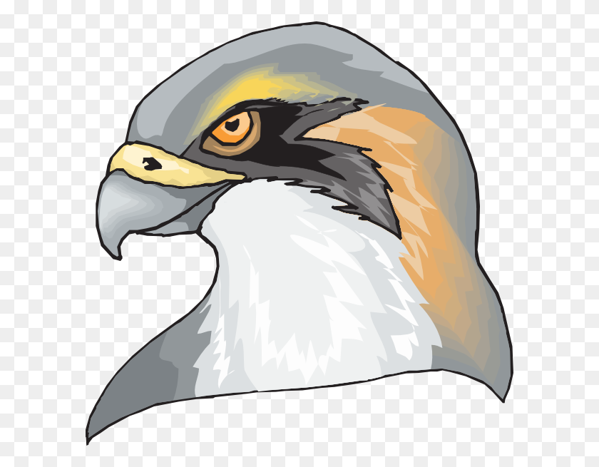 600x595 Hawk Head Clip Art - Hawk Head Clipart